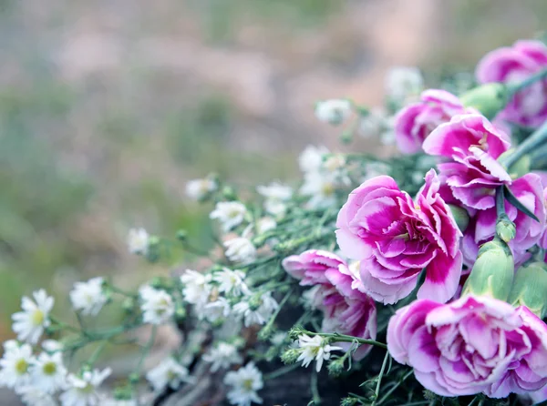 Pink flowers in vintage tone. — Stock Photo, Image