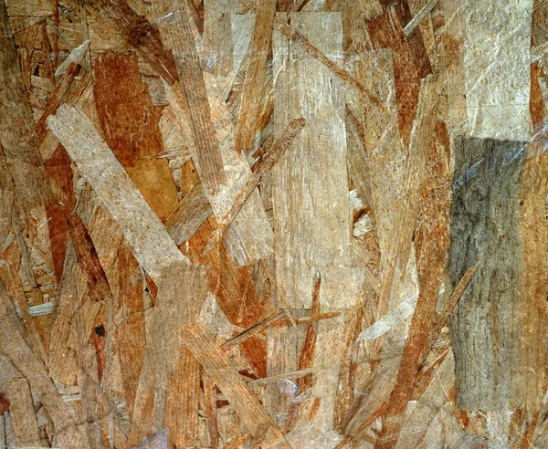 Wood texture for your background — Stock Photo, Image