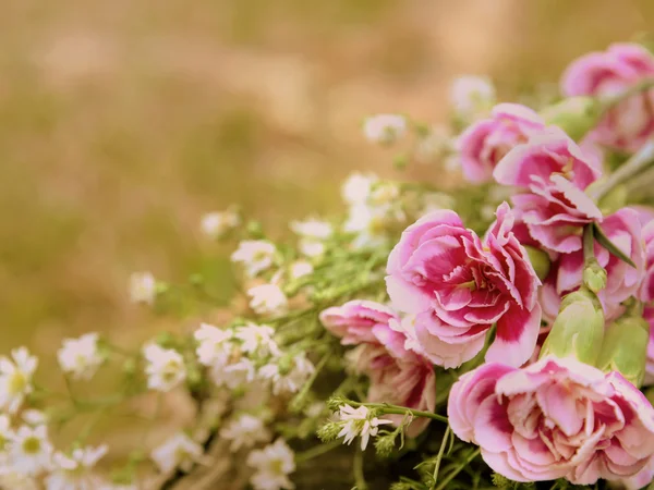 Flores do vintage — Fotografia de Stock