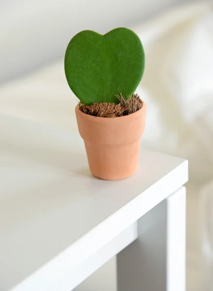 Cactus en forma de corazón en la mesa — Foto de Stock