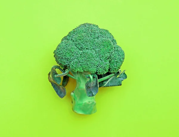 Brokuły na zielonym tle (w stylu Pop-art) — Zdjęcie stockowe