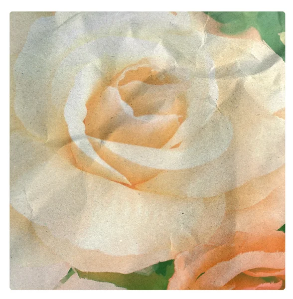 Virág évjárat, rózsa, papír textúra háttérrel — Stock Fotó