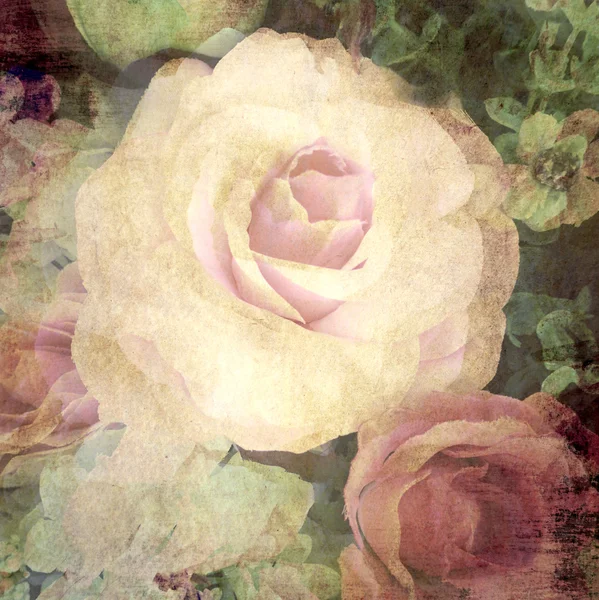 Retro Rose auf Papier Textur Hintergrund — Stockfoto