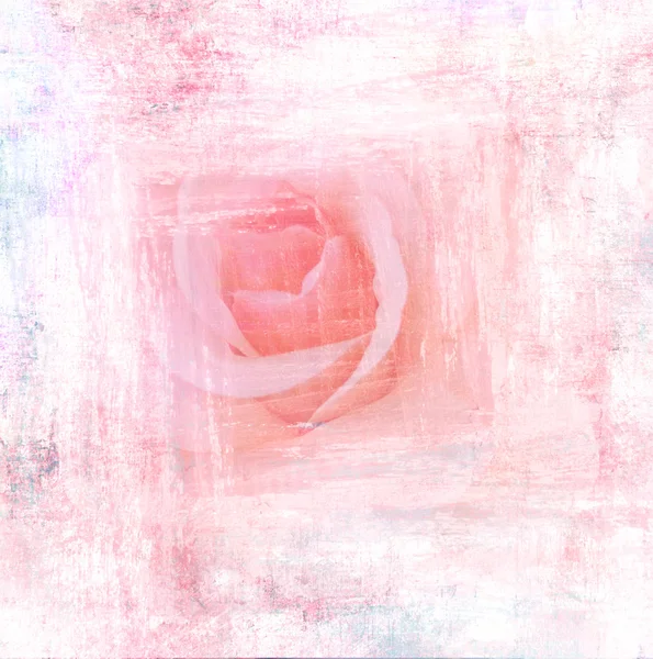 Flower beautiful rose, art paint illustration for background — Stock Photo, Image