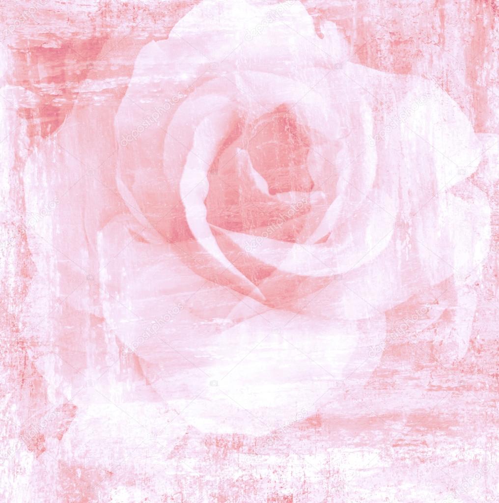 Flower beautiful rose, art paint illustration for background