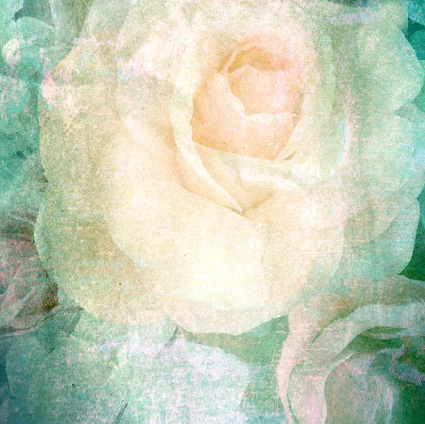 Retro Rose auf Papier Textur Hintergrund — Stockfoto