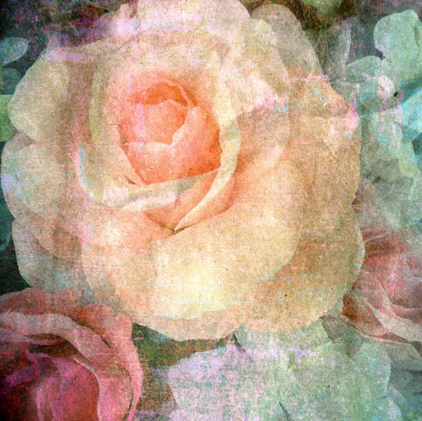 Rosas retro sobre fundo textura de papel — Fotografia de Stock