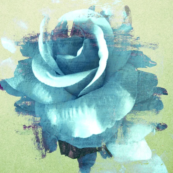 Vintage Rose bemalt mit Pinselstrich auf Wandhintergrund — Stockfoto