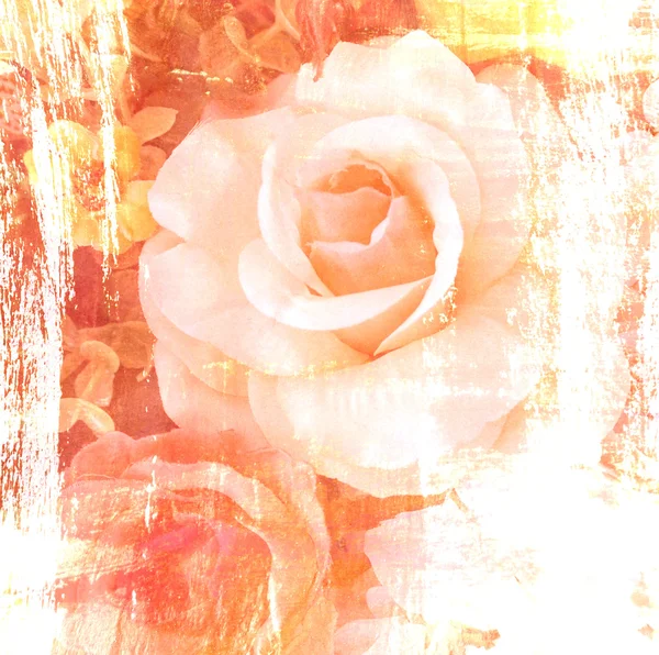 Flor hermosa rosa, ilustración de pintura de arte para el fondo — Foto de Stock