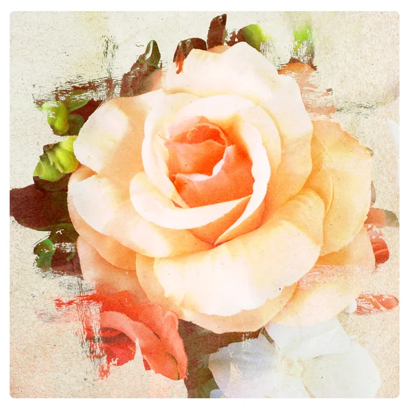 Fiore vintage, rosa con sfondo carta texture — Foto Stock