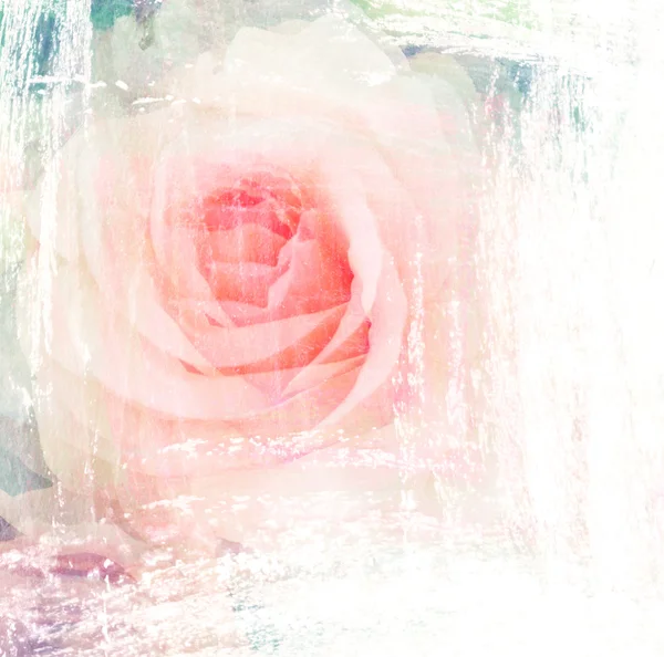 Blume schöne Rose, Kunst malen Illustration für Hintergrund — Stockfoto