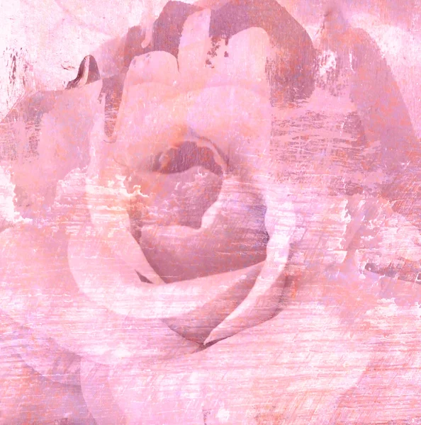 Blomma vacker ros, art paint illustration för bakgrund — Stockfoto