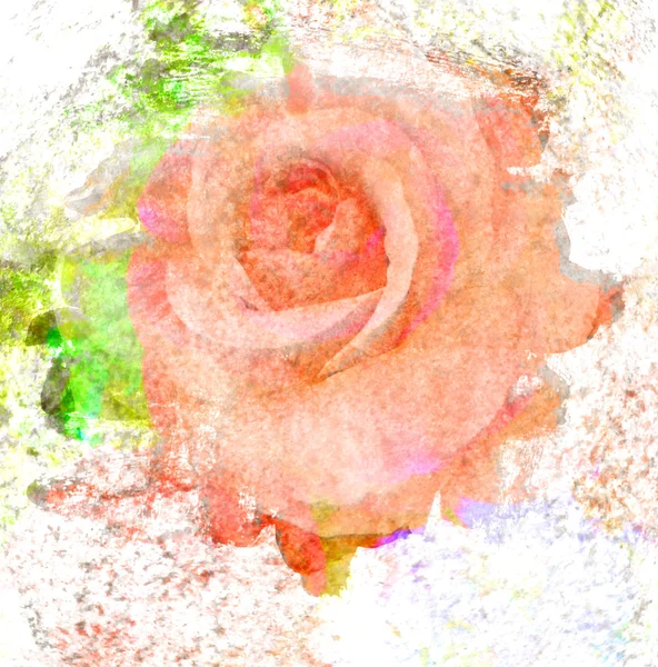 Blomma vacker ros, art paint illustration för bakgrund — Stockfoto
