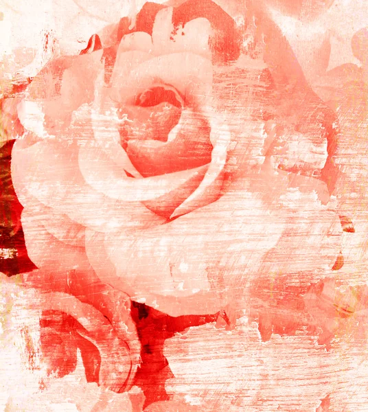 Blume schöne Rose, Kunst malen Illustration für Hintergrund — Stockfoto