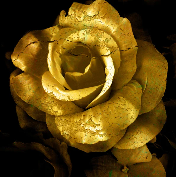 Ouro rachado flor, rosa velha, arte tom escuro . — Fotografia de Stock