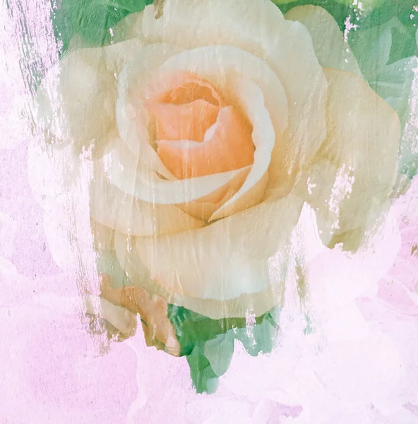 Flor bela rosa, arte pintura ilustração para o fundo — Fotografia de Stock