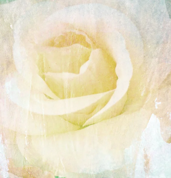 Süße Blumen in Vintage-Farbe auf Papier Textur — Stockfoto