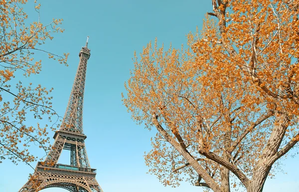 Eiffel tower and golden autumnal trees — Stock Photo, Image