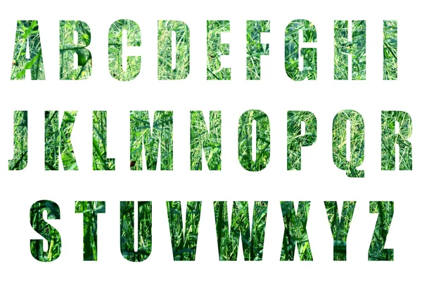 Green forest text on white background — ストック写真