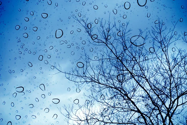 Lluvia cae sobre una ventana y árboles afuera —  Fotos de Stock