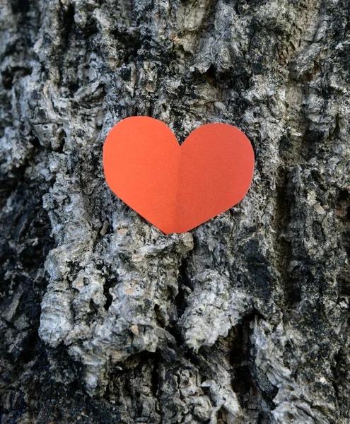 Kształt czerwone serce papieru w tle kory drzewa — Zdjęcie stockowe