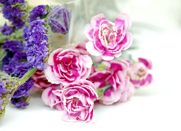 Flores cor de rosa e azul em branco — Fotografia de Stock