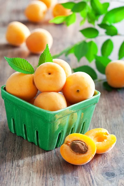 Свежие абрикосы в миске — стоковое фото
