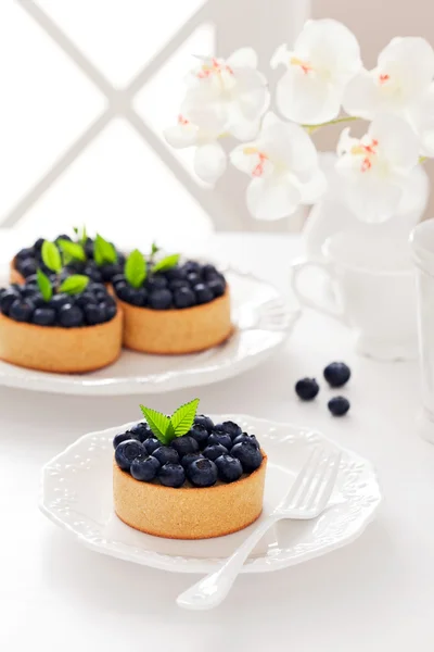 Tartlets com creme e mirtilos — Fotografia de Stock