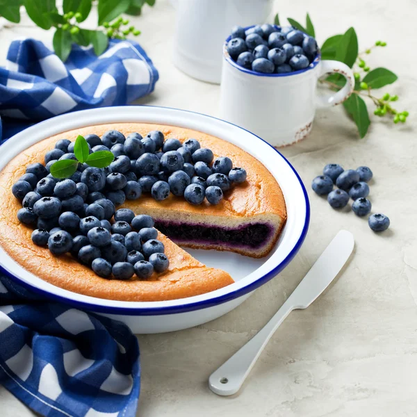 Blueberry pie in enamel baking dish — Stock Photo, Image