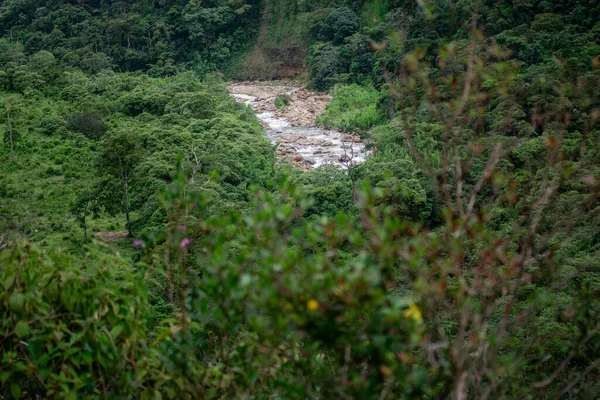 beautiful Colombian landscapes full of harmony to enjoy with family and friends