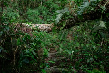 Ahenk ve zarafetle dolu güzel manzaraların güzel doğal renkleri