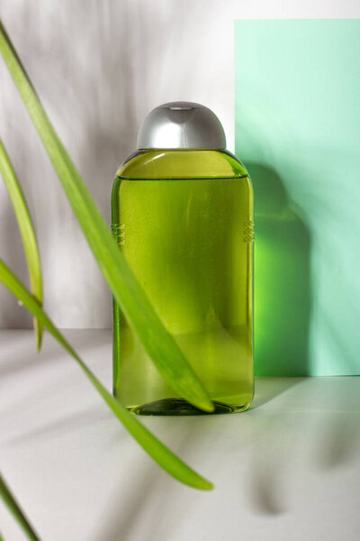Бутылка для чистки лица. Лосьон или мицелиальная вода для очищения лица на белом фоне с резкими тенями от ветви растения. Жидкий косметический продукт в зеленой упаковке. Естественная косметика