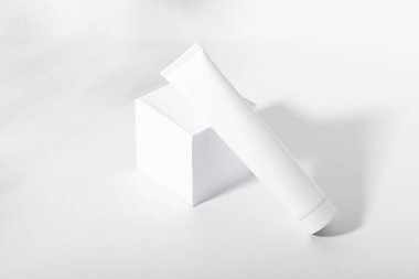 Yaprakları ve gölgeleri olan beyaz kozmetik bir tüp. Diş macunu, yüz ve vücut kremi. Deri bakım ürünlü kadın kozmetik tüpü. Organik kozmetik ürünleri. Boşluğu kopyala.