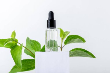 Podyumda pipetli cam bir şişede yüz ve vücut bakım ürünleri. Doğal malzemeleri olan kadınlar için kozmetik ürünler. Boşluğu, düzeni kopyala