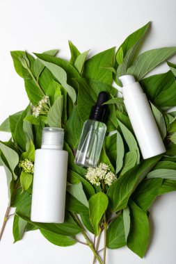 Yeşil yaprakların arka planında cam bir kavanozda nemlendirici yüz kremi. Yüz ve vücut için makyaj malzemeleri. Doğal kozmetik konsepti