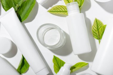 Beyaz tüplerde bir takım kozmetik ürünler ve etiketlemek için boş alanı olan yeşil yapraklar. Yüz ve vücut bakımı için doğal kozmetik ürünleri. Nemlendirici krem, arıtıcı maske.