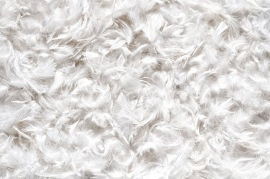 Arka plan dokusu yumuşak beyaz kuş tüyleri
