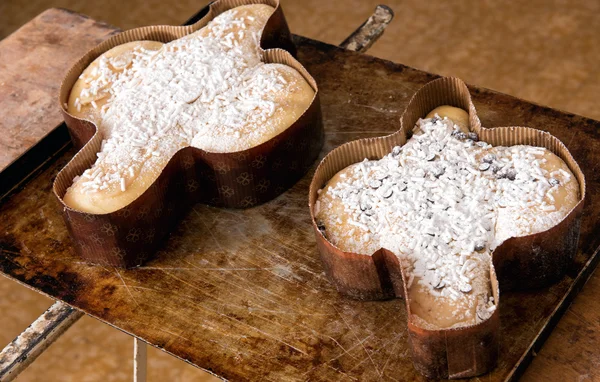 Two Easter colomba cakes ready for baking — Stock Photo, Image