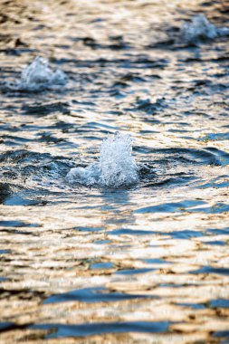 Işıltılı hareketli su içinde köpüren küçük Çeşme