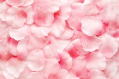 Güzel narin pembe Gül petal arka plan