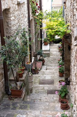 Dar küçük sokak veya yol, saksı