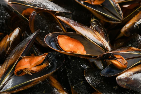 Bakgrundskonsistens Kokta Färska Marina Musslor Med Fokus Ett Öppet Skal — Stockfoto