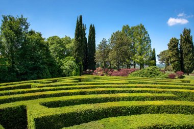 Resmi Kutu ya da Buxus labirenti bir bahçede ya da parkta labirentin yollarından güneşli mavi gökyüzünün altındaki uzak ağaçlara bakıyor.