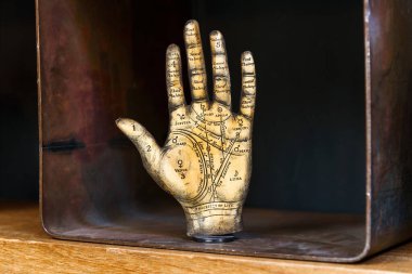 Vintage model of a Tarot or Palmistry hand showing the named lines and mounds of Venus, Jupiter, Venus, Luna, Saturn, Apollo and Mercury for reading health, character and the future clipart