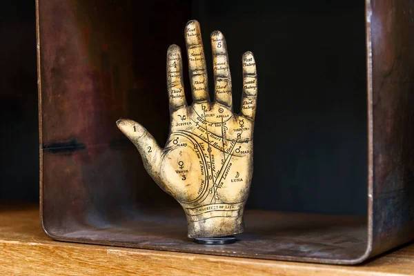 Model Kuno Dari Tangan Tarot Atau Palmistry Menunjukkan Nama Baris Stok Lukisan  