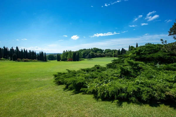 Landscape View Large Garden Manicured Lush Green Lawn Ornamental Japanese — Stockfoto