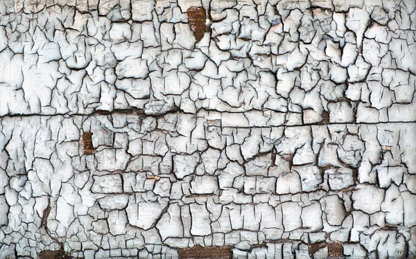 Background texture of dried cracked wood — Stock Photo, Image