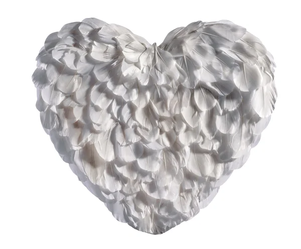 Feathered Heart on White Background — Stock Photo, Image