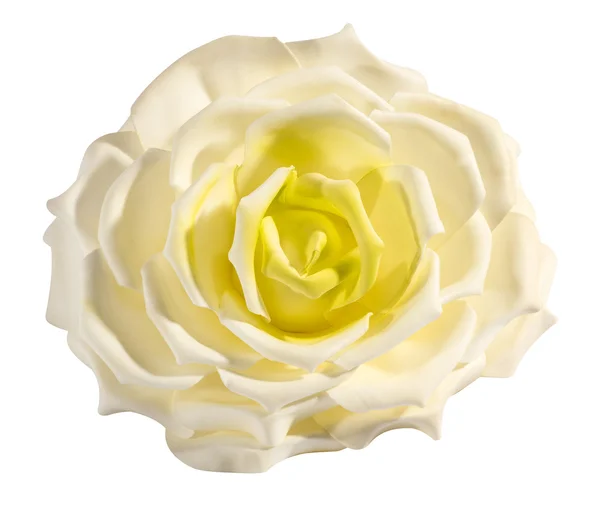 Rosa blanca y amarilla delicada perfecta — Foto de Stock