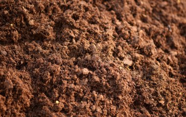 Background texture of topsoil clipart